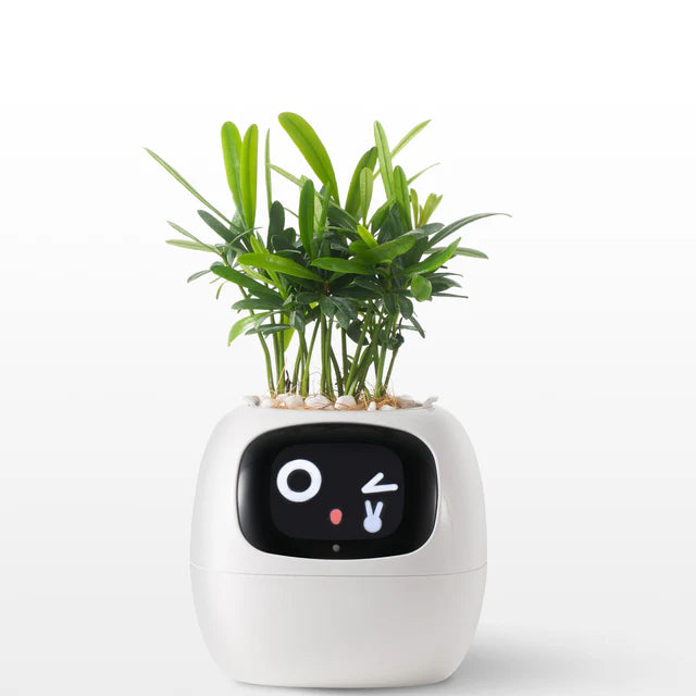 Smart Planter