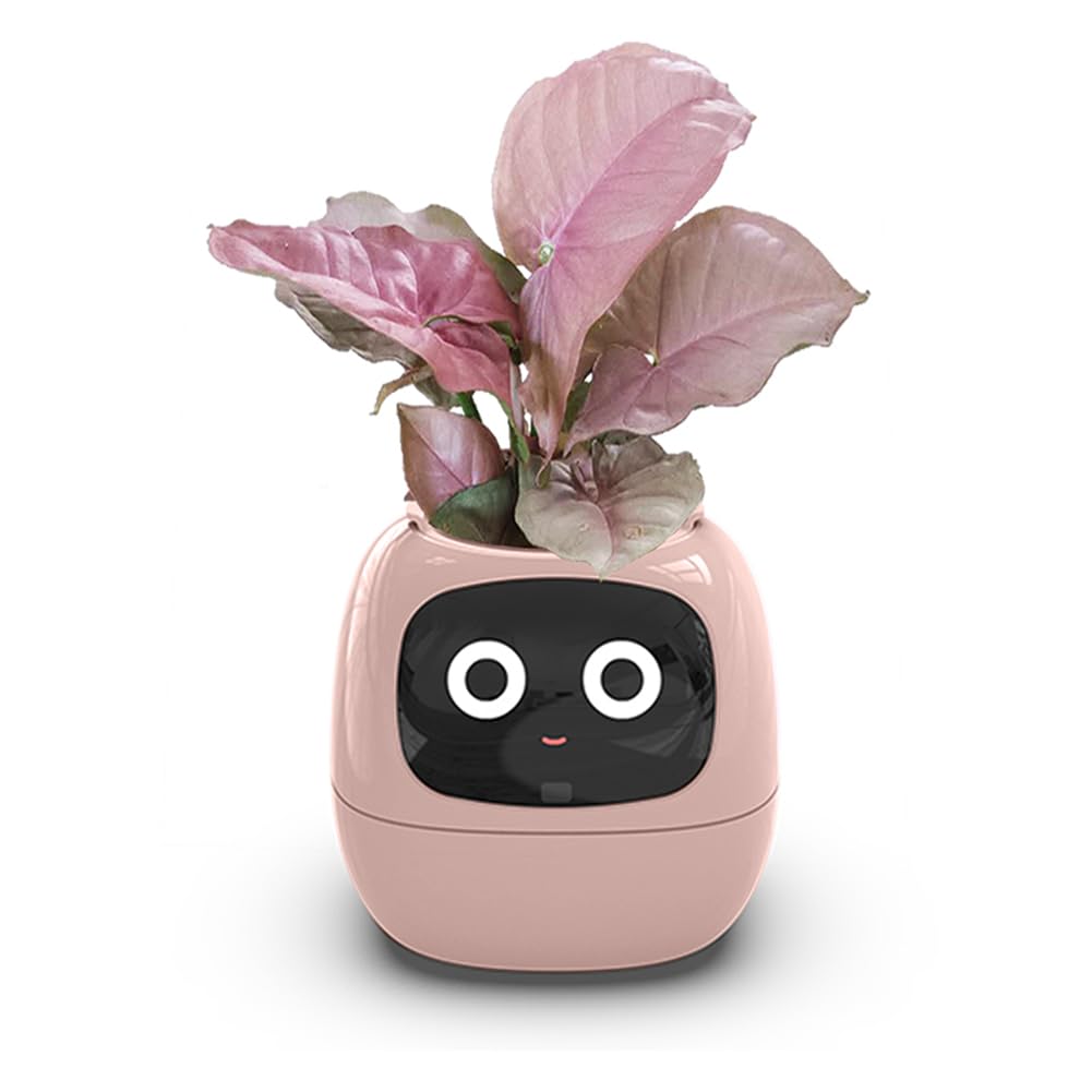 Smart Planter